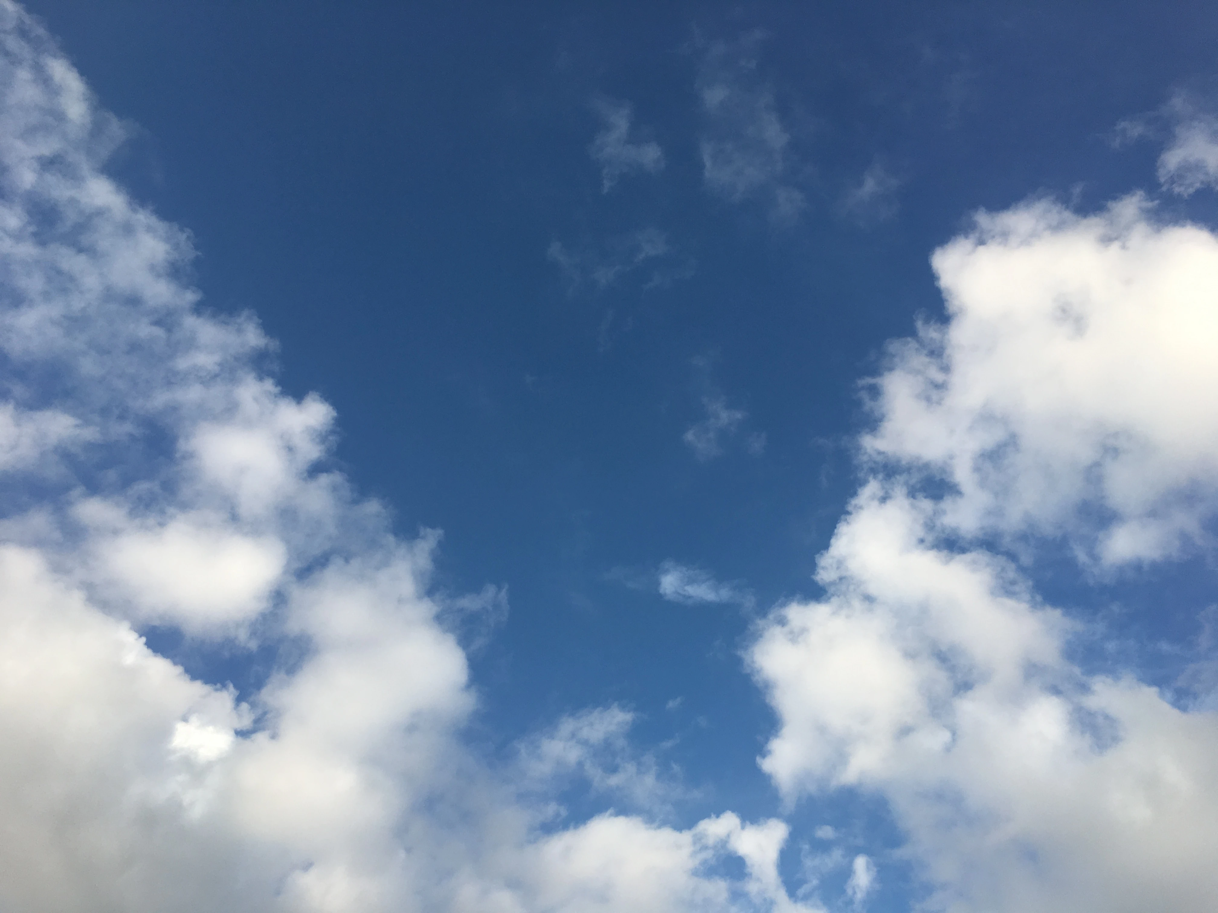 相続の不安を抱えるあなたへ。まずはお気軽にご相談ください。